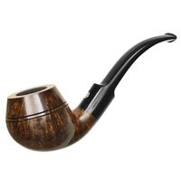 Glenn Tinsky Dark Smooth Rhodesian (1 Star)