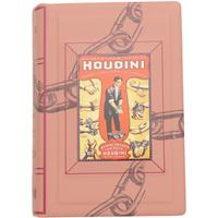 English Estates Dunhill Harry Houdini County Dublin with Silver (4) (4/35) (2024) (Unsmoked)