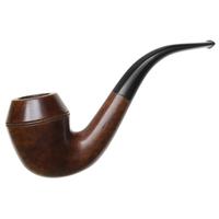 American Estates Barclay-Rex Smooth Rhodesian