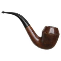 American Estates Barclay-Rex Smooth Rhodesian