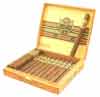 Ashton VSG Illusion (Box of 24)