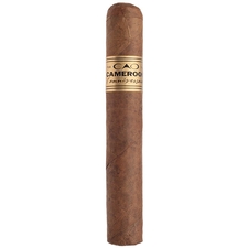 CAO Cameroon Toro