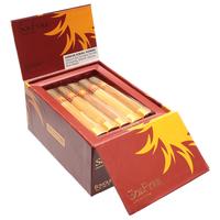 CAO SolFyre Corona