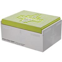 CAO Flathead Sparkplug V450