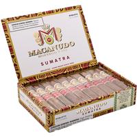 Macanudo Ecuadorian Sumatra Robusto