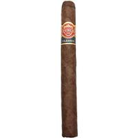 Punch Double Corona EMS