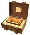 Perdomo Edicion de Silvio Robusto (Chest of 20)