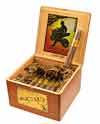 Acid Atom Maduro (Box of 24)