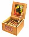 Acid Liquid (Box of 24)