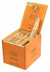 Avo XO Presto (Box of 25)
