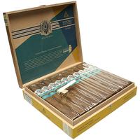 Avo Syncro South America RITMO Torpedo