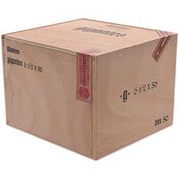 Illusione Gigantes Connecticut