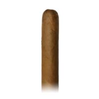 La Flor Dominicana Rolling School Class of 2021 Connecticut