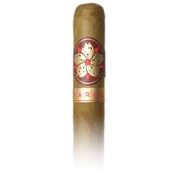 Room101 Farce Connecticut Super Toro