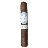 Room101 Farce Nicaragua Robusto