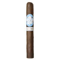 Room101 Farce Nicaragua Toro