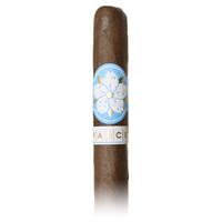 Room101 Farce Nicaragua Toro