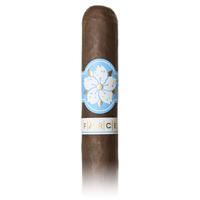 Room101 Farce Nicaragua Gordo