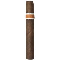 RoMa Craft Neanderthal JCF