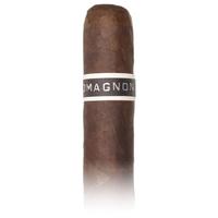 RoMa Craft CroMagnon PA Mandible