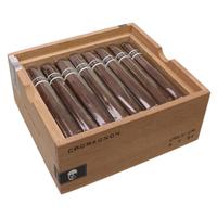 RoMa Craft CroMagnon PA Cranium