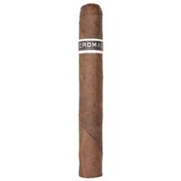 RoMa Craft CroMagnon PA Cranium