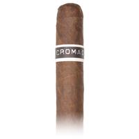 RoMa Craft CroMagnon PA Cranium