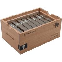 RoMa Craft CroMagnon PA Mastodon