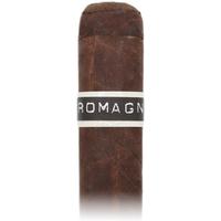 RoMa Craft CroMagnon PA Mastodon