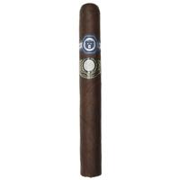 Warped El Oso Gran Papa 10th Anniversary