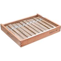 Warped El Oso Blanco