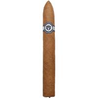 Warped El Oso Blanco