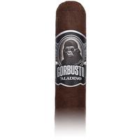Aladino Gorbusto Gori