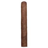 Lost & Found Plume Toro