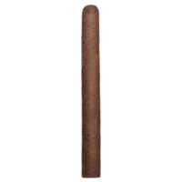 Lost & Found Plume Lonsdale