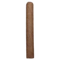 Lost & Found Malparidos Toro European Release