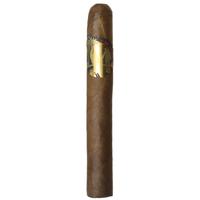 Lost & Found Paradise Lost Toro