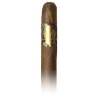 Lost & Found Paradise Lost Toro