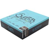 Blackbird Superb Lancero